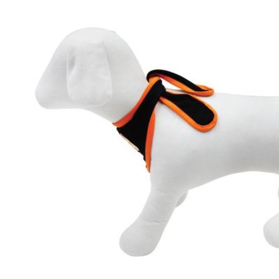 Image showing 14 th Best Furry Friends Halloween Bandana
