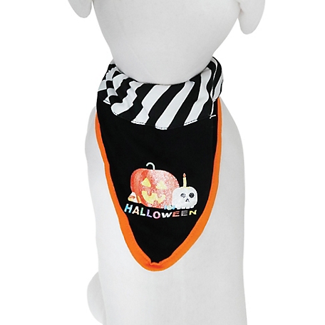 Best Furry Friends Halloween Slide-On Dog Collar Bandanas