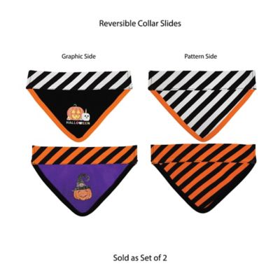 Image showing  Halloween Slide-On Dog Collar Bandanas
