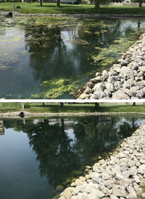 Image showing  Copper Sulfate Crystals Pond Treatment, 15 lb.