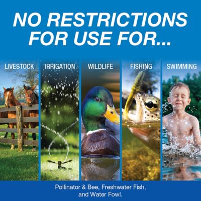 Image showing  Blue Bayou Pond Colorant, 1 gal.