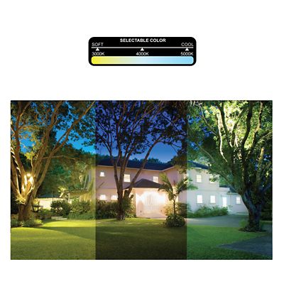 Image showing  60 Watt 3 CT PC Bronze Flood Light