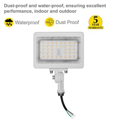Image showing  15 Watt 3Cct White Flood Light