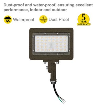 Image showing  30 Watt 3Cct Bronze Flood Light