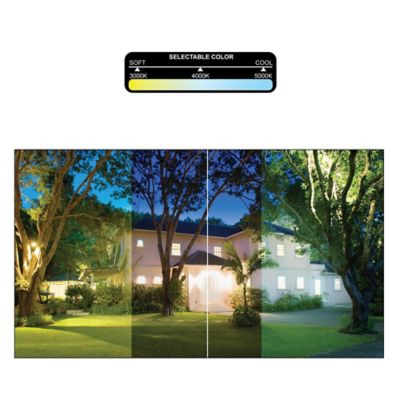 Image showing 5 th NUWATT 30 Watt 3Cct Bronze Flood Light