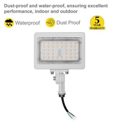 Image showing  30 Watt 3Cct White Flood Light