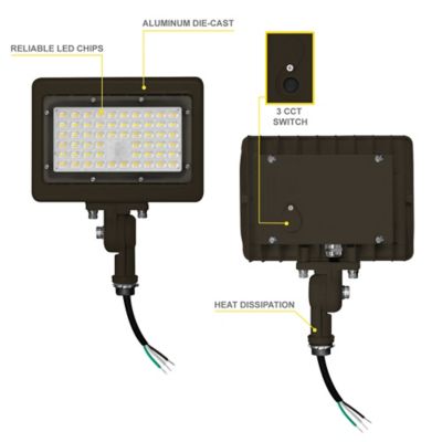 Image showing  50 Watt 3Cct Bronze Flood Light