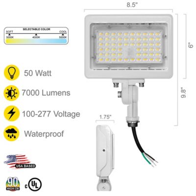 Image showing  50 Watt 3Cct White Flood Light