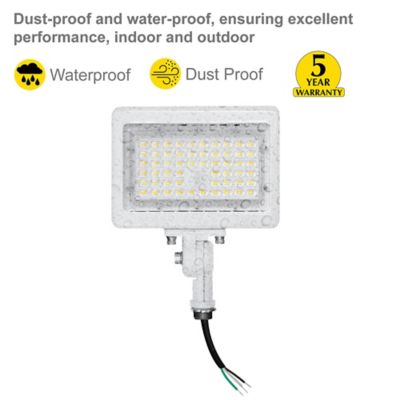Image showing  50 Watt 3Cct White Flood Light