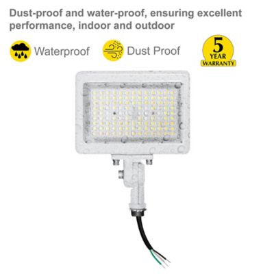 Image showing  90 Watt 3Cct White Flood Light