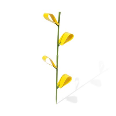 Image showing  Houseplant Sticky Stakes