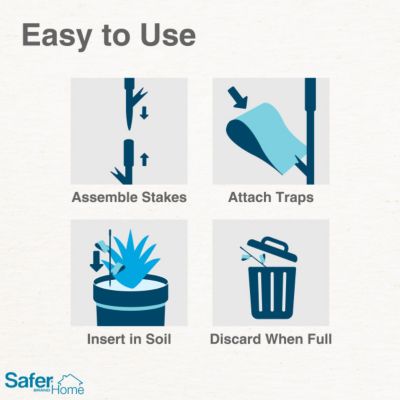 Image showing 5 th Safer Home Houseplant Sticky Stakes