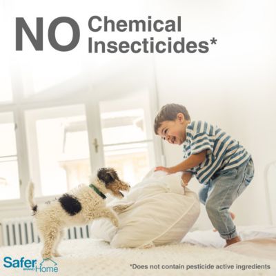 Image showing 6 th Safer Home Houseplant Sticky Stakes