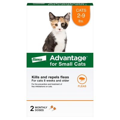 Advantage Topical Flea Prevention for Small Cats 2-9 lb., 2-Month Supply, 2 ct.