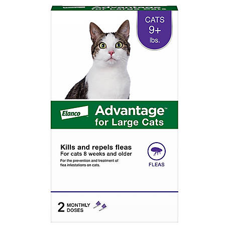 Advantage Topical Flea Prevention for Large Cats 9 lb.+, 2-Monthly Treatments