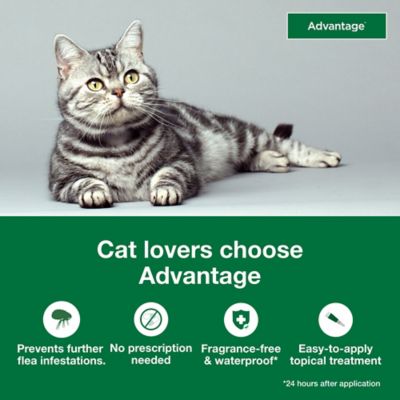 Image showing  Topical Flea Prevention for Large Cats 9 lb. and Up, 2-Month Supply, 2 ct.