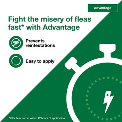 Image showing  Topical Flea Prevention for Large Cats 9 lb. and Up, 2-Month Supply, 2 ct.