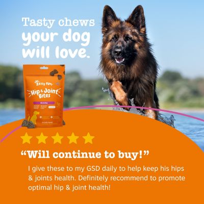 Image showing  Dog Mobility Bites, Duck, 60ct