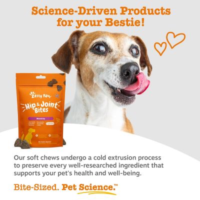 Image showing 5 th Zesty Paws Dog Mobility Bites, Duck, 60ct