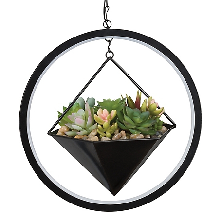 Regal Art & Gift Lumen Succulent Solar Lantern - Hexagon