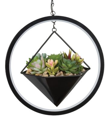 Image showing  Lumen Succulent Solar Lantern - Hexagon