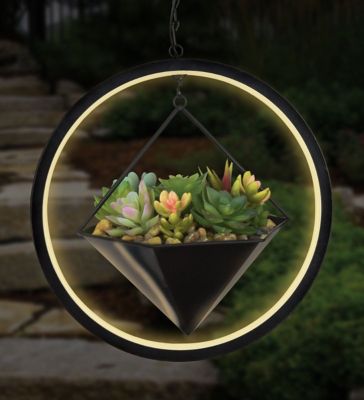 Image showing  Lumen Succulent Solar Lantern - Hexagon