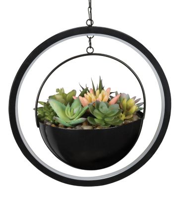 Regal Art & Gift Lumen Succulent Solar Lantern - Round