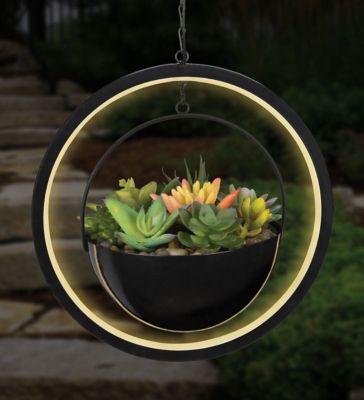 Image showing  Lumen Succulent Solar Lantern - Round