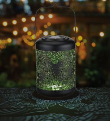 Image showing  Large Battery-Powered Hummingbird Shadow Lantern