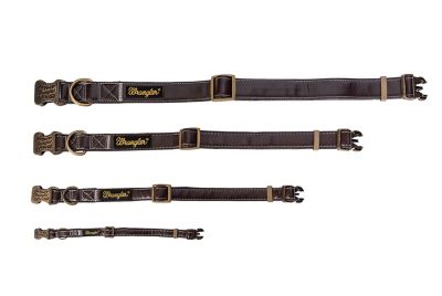 Image showing  Leather-Look Dog Collar with Gold Buckle