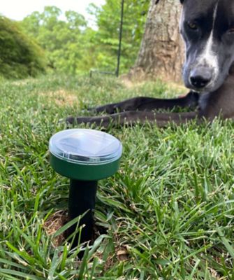 Image showing  Sonic Spikes Pest Repellent, 2-Pack