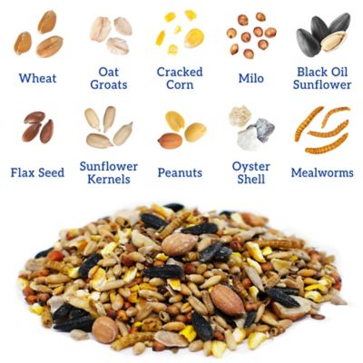 Image showing  Sunflower, Flax and Worms Chicken Treats, 7 lb.