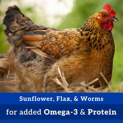 Image showing  Sunflower, Flax and Worms Chicken Treats, 7 lb.