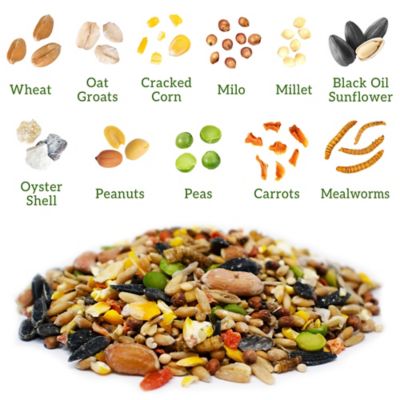 Image showing  Veggie and Worms Chicken Treats, 7 lb.