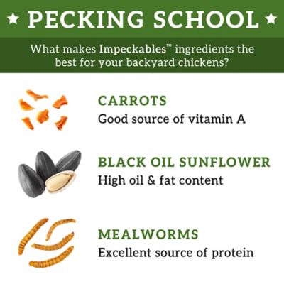 Image showing  Veggie and Worms Chicken Treats, 7 lb.