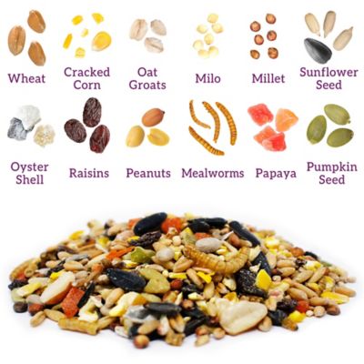 Image showing  Fruit and Worms Chicken Treats, 7 lb.