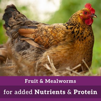 Image showing  Fruit and Worms Chicken Treats, 7 lb.