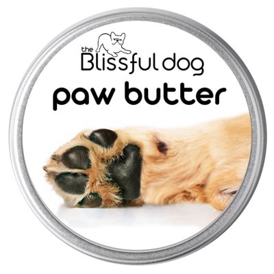 The Blissful Dog Paw Butter for Dogs, 2 oz Tin