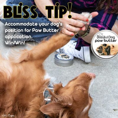 Image showing  Paw Butter for Dogs, 2.25 oz Tube