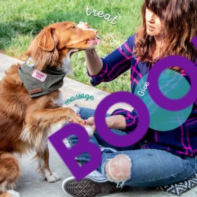 Image showing  Paw Butter for Dogs, 2.25 oz Tube