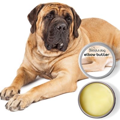 Image showing  Elbow Butter for Dogs, 2.25 oz. Tube