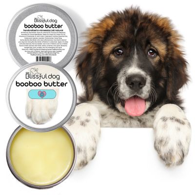 Image showing  Boo Boo Butter for Dogs, 2 oz. Tin