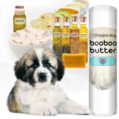 Image showing  Boo Boo Butter for Dogs, 2.25 oz. Tube