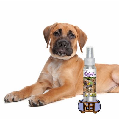 Image showing  Relax Dog Aromatherapy Spray