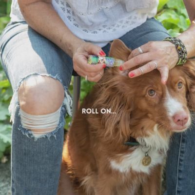 Image showing  Relax Dog Aromatherapy Spray