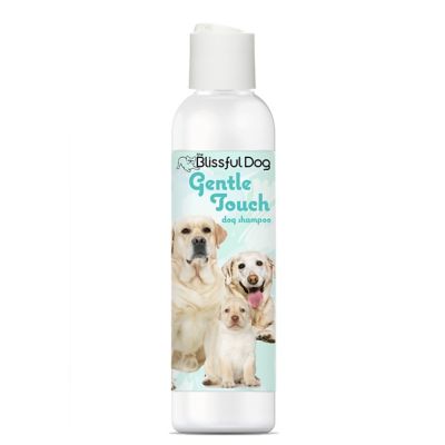 The Blissful Dog Gentle Touch Shampoo
