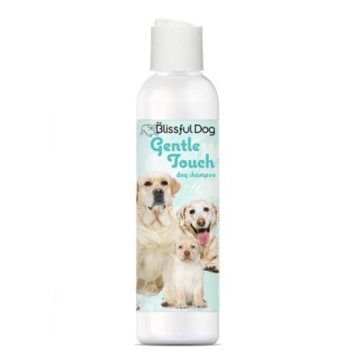 The Blissful Dog Gentle Touch Dog Shampoo