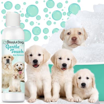 Image showing  Gentle Touch Dog Shampoo