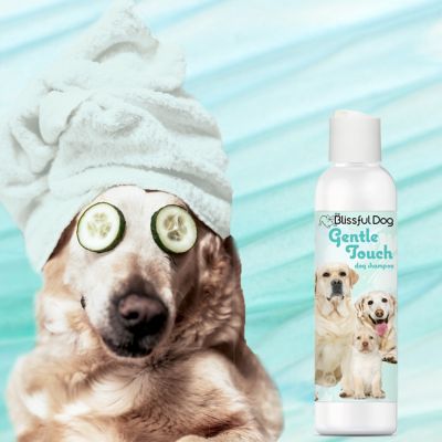 Image showing  Gentle Touch Dog Shampoo
