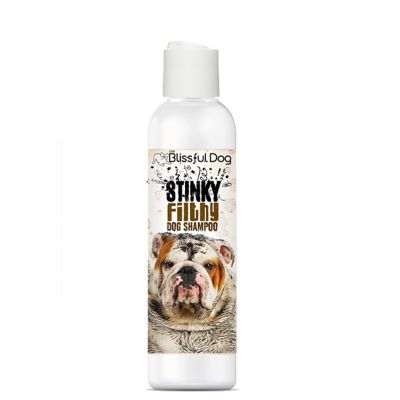 The Blissful Dog Stinky Filthy Dog Shampoo